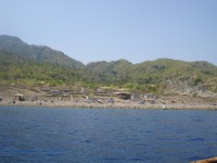 /album/ilha-de-atauro-/atauro-7e8dez2012-40-jpg/